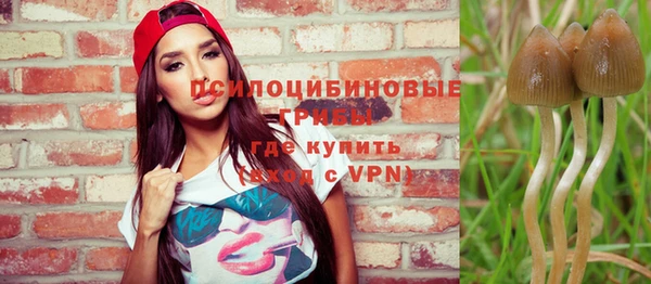 сатива Балабаново