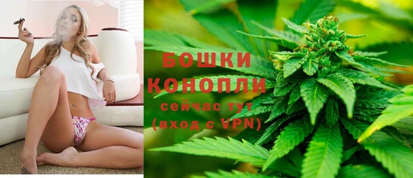 сатива Балабаново