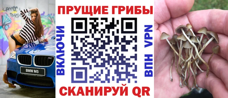 Псилоцибиновые грибы Cubensis  Купить  Обь 